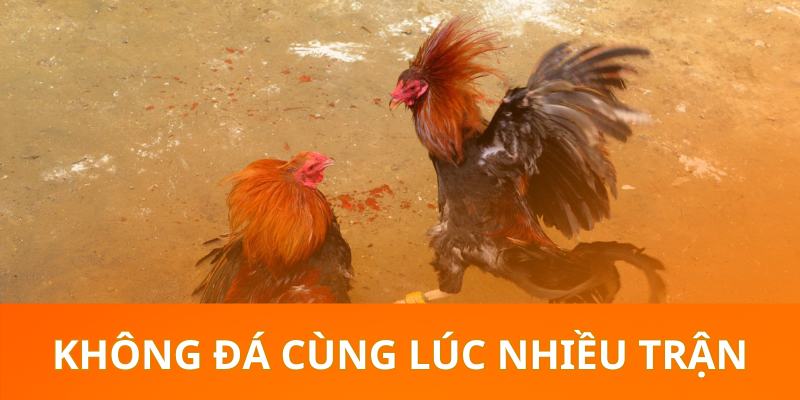 Người chơi không vào tiền các trận đá quá chênh lệch