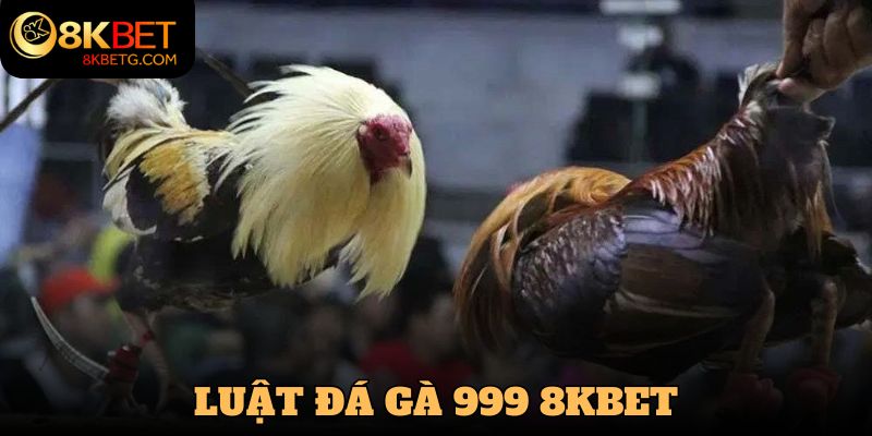 Quy tắc chuẩn của trận đá gà 999