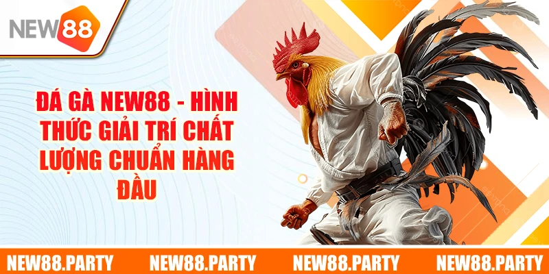 Đá Gà New88 - Hình Thức Giải Trí Chất Lượng Chuẩn Hàng Đầu 